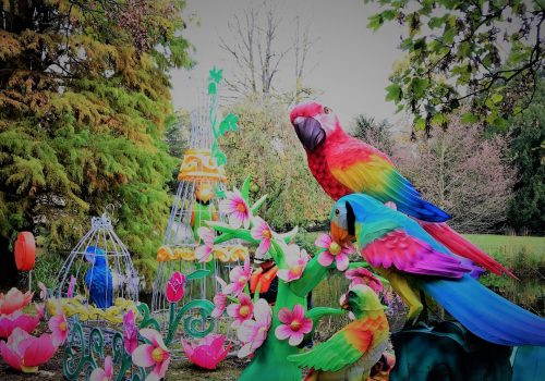 Parrot Lanterns @ The Magical Lantern Festival 2017 @ Chiswick House