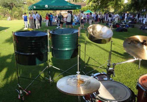 Steel Band at Client Summer Party